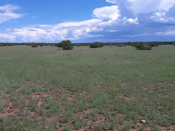 8577 Pine Ln, Snowflake, AZ 85937