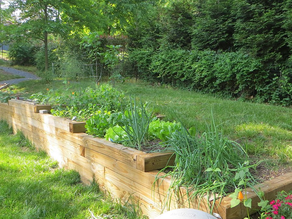 garden
