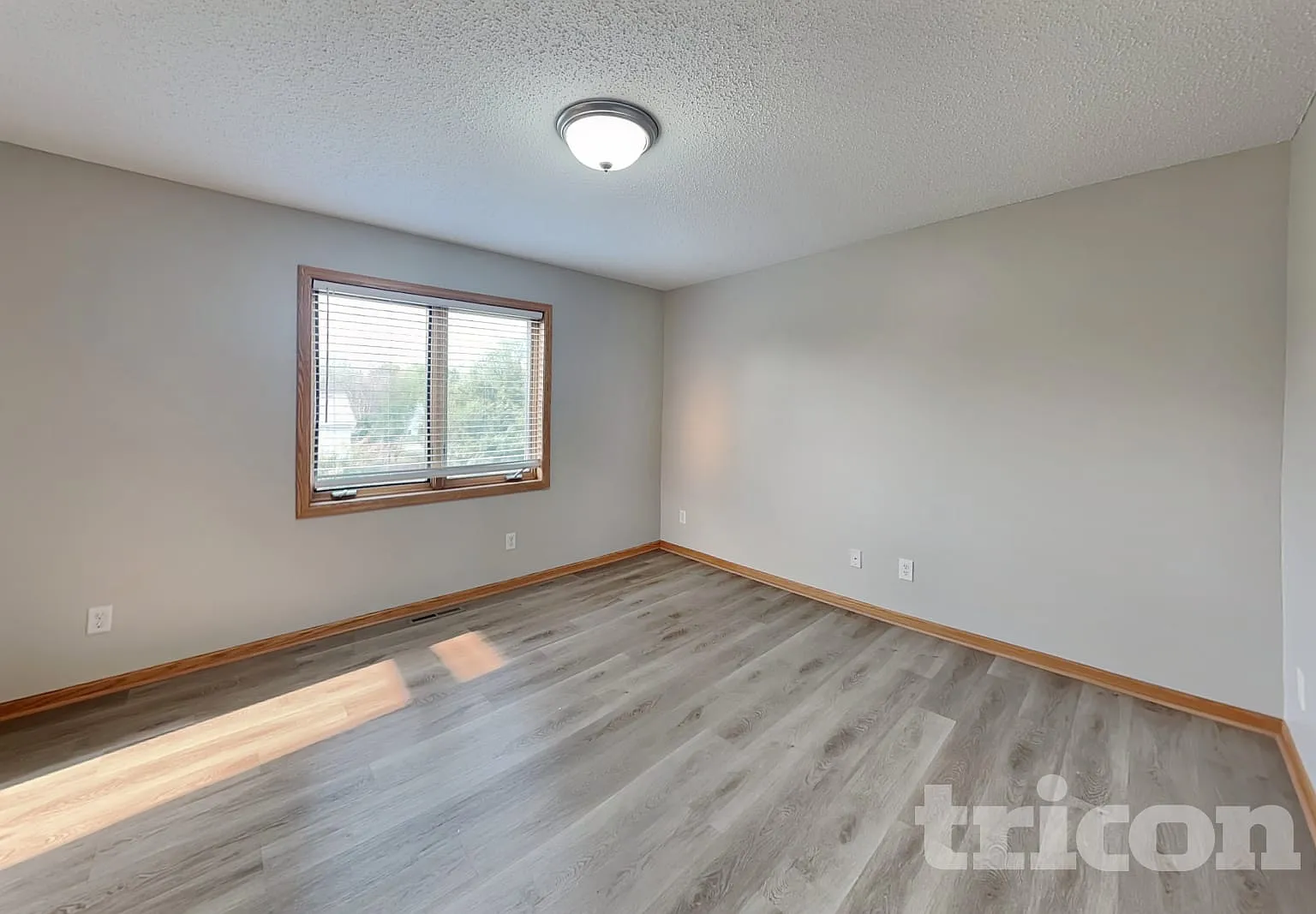 10527 61st PL NE Albertville MN — Photo 4