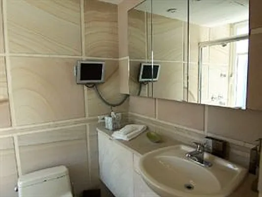 Rented by Douglas Elliman | media 10