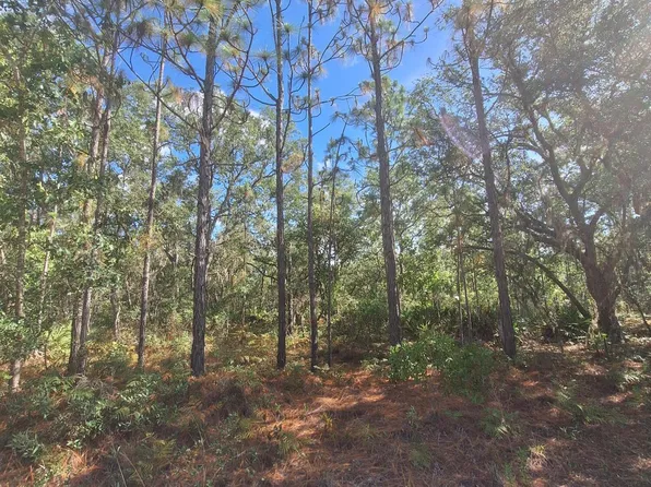 LOT 17 18 HURLEY Street, Interlachen, FL 32148