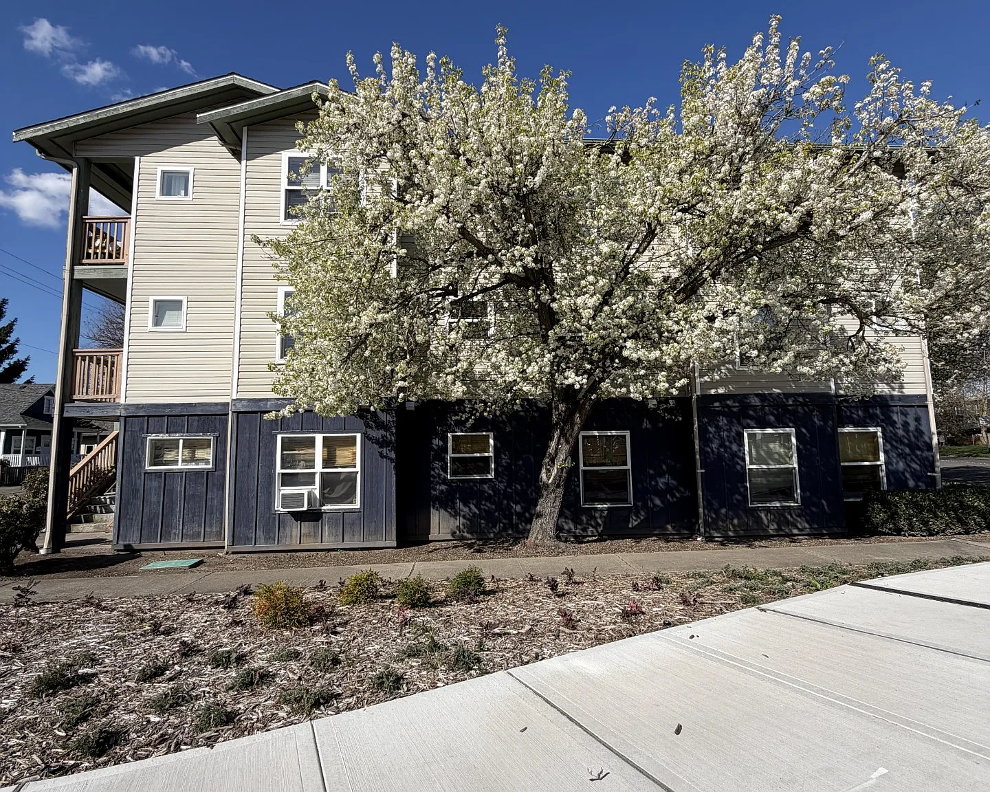 3 bed, 855 sqft, $1,939 — Photo 4