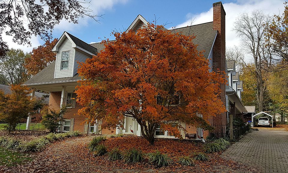 1st image of 603 Lucas Dr
