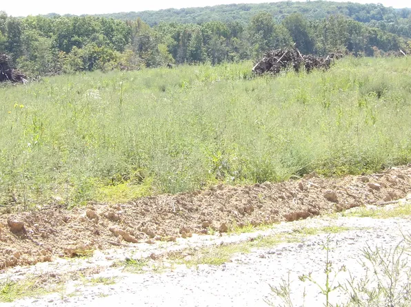 100 Summer City Rd, Evensville, TN 37332