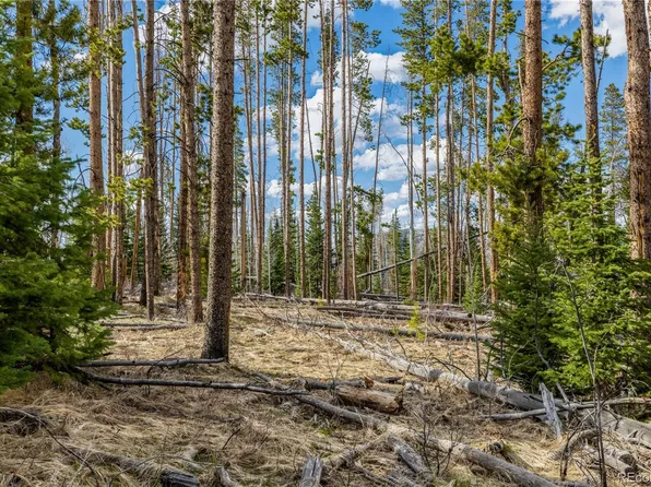 Lot 98 South Station II, Oak Creek, CO 80467