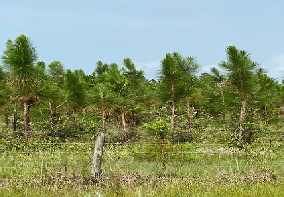 5th image of 10205 County Road 229 N