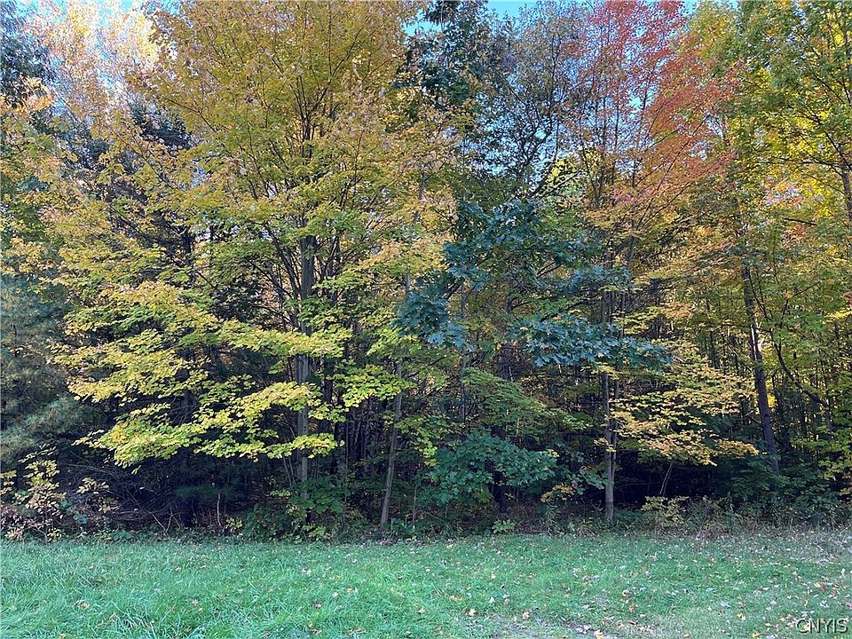 1st image of 0 Nys Route 49 S Lot 2
