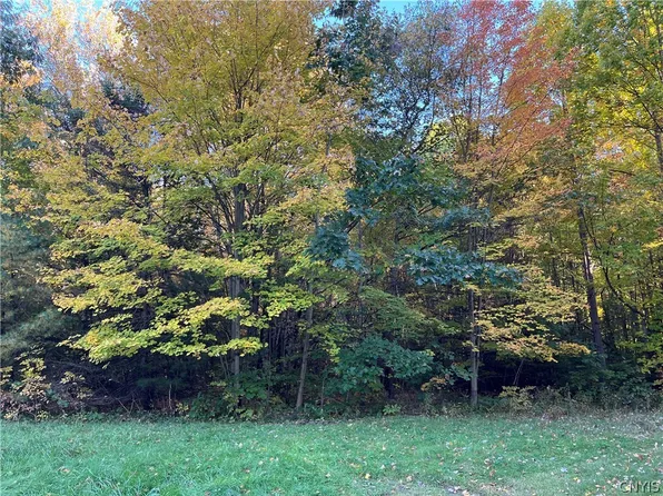 0 Nys Route 49 S Lot 2, Vienna, NY 13123