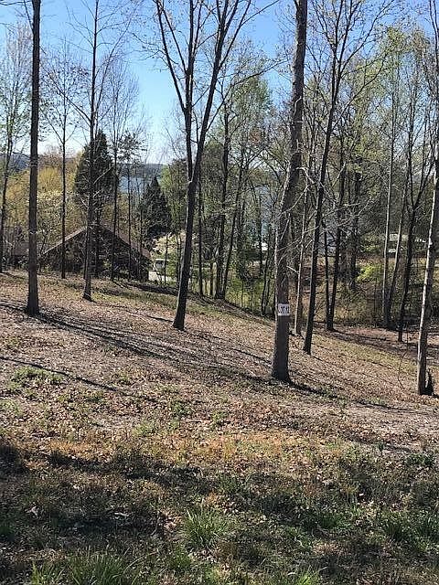 1st image of 12 Piney View Dr