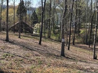 12 Piney View Dr, Spring City, TN 37381