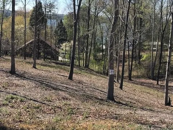 12 Piney View Dr, Spring City, TN 37381