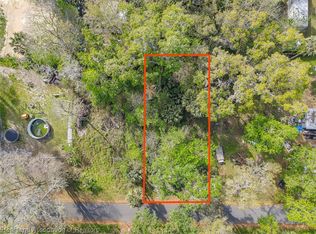 0 County Road 426e, Lake Panasoffkee, FL 33538
