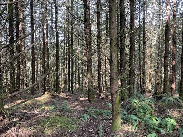 0 Nikula Road, Winlock, WA 98596