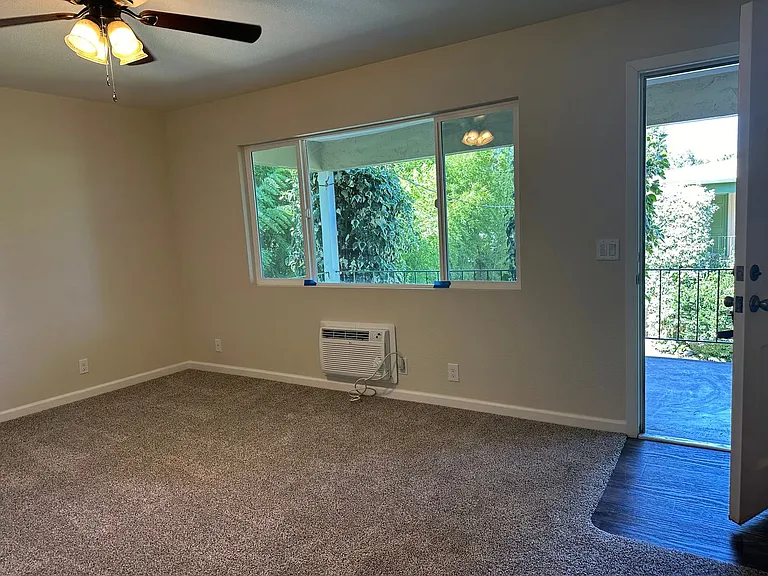 Ivy Common Apartments — Photo 3