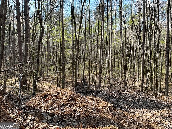 5th image of 262 White Creek Loop