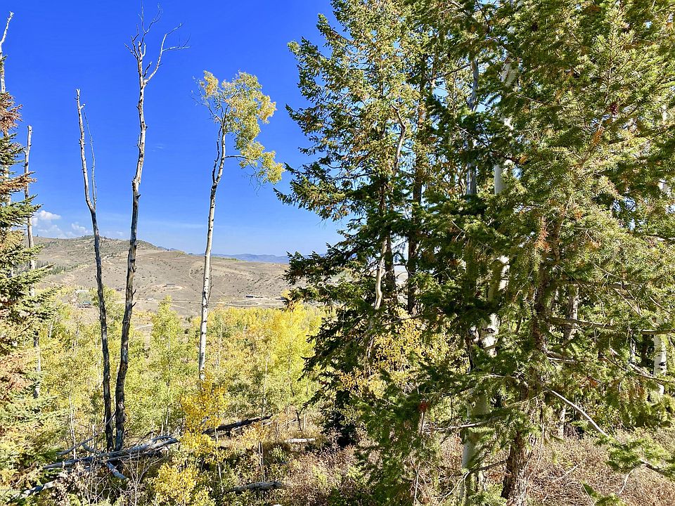 1st image of 881 Aspen Way