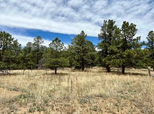 137 Rancho La Marina, Weston, CO 81091