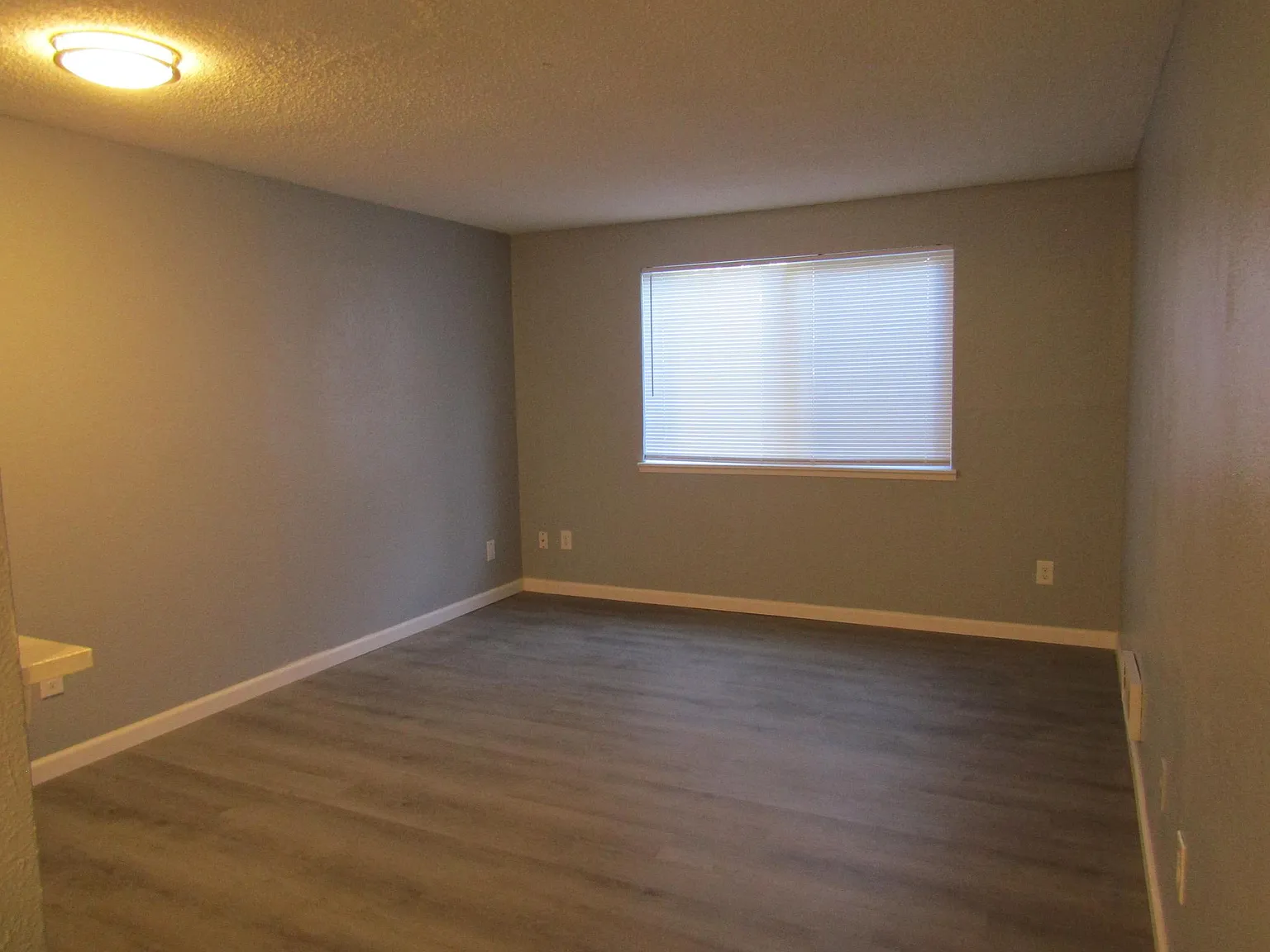 1 bed, 700 sqft, $1,325 — Photo 3