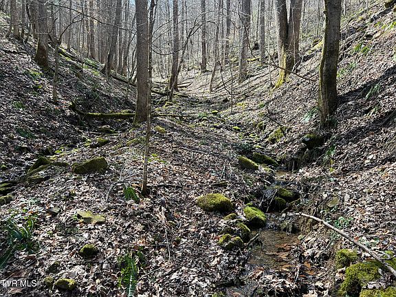 3rd image of Bull Run Rd
