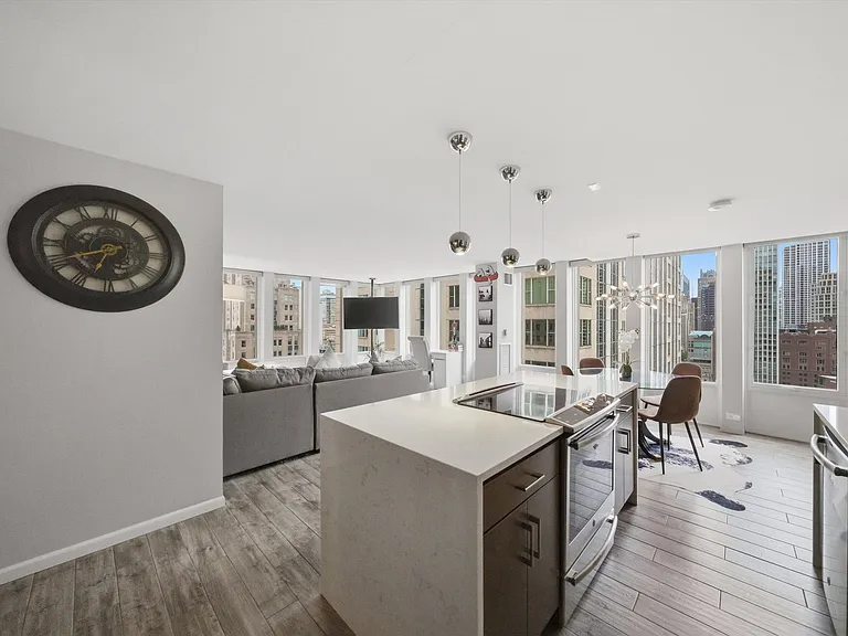100 E Walton St #27D — Photo 4
