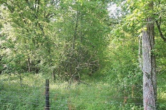 2nd image of 1 Long Run Rd Lot B