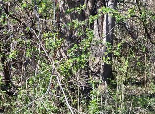 Peach St #31, Angola, NY 14006