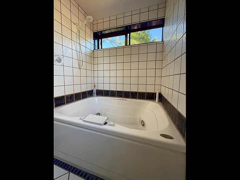 Shower with Jacuzzi tub (Jacuzzi is currently off-line, but shower is great)