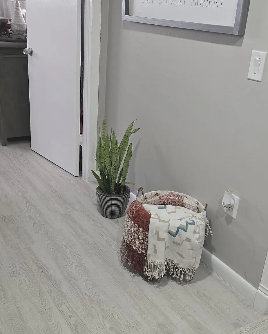 1 bed, $1,500 — Photo 4