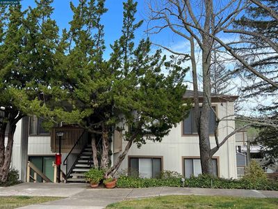 1364 Running Springs Rd APT 7, Walnut Creek, CA, 94595
