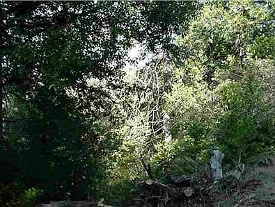 2nd image of 19102 Quercus Ct
