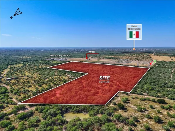Fm 650, Roma, TX 78584