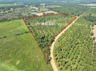 1 Dixie Rd, Leesburg, GA 31763