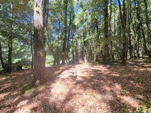 10655 Briceland Rd, Whitethorn, CA 95589