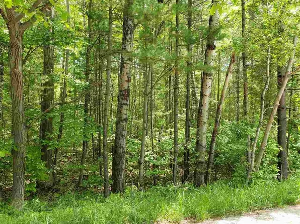 2727 E Mullett Lake Rd, Indian River, MI 49749