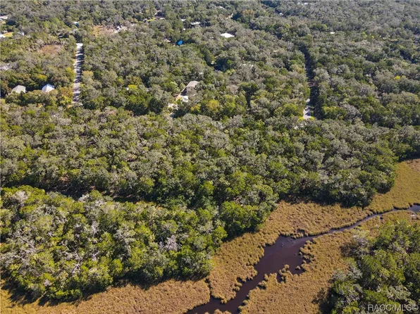 6350 S Westview Dr, Homosassa, FL 34448