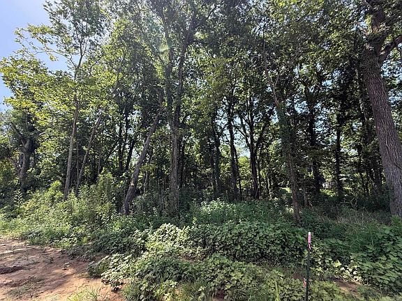 4th image of 38 River Ln