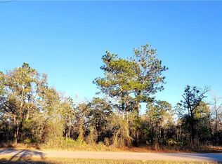11278 Labrador Duck Rd, Weeki Wachee, FL 34614