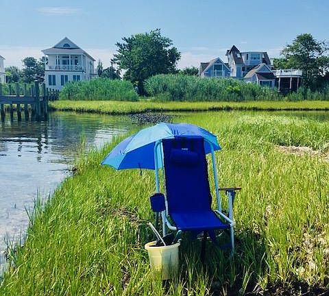 Chincoteague Charms private bayside island... low tide path to our "treasure island".. crab, fish, launch kayak