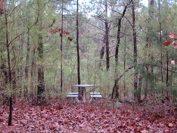5th image of 1832 An County Road 2133