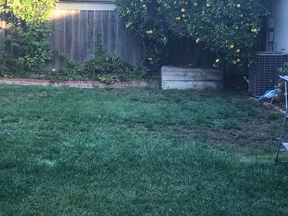 back yard