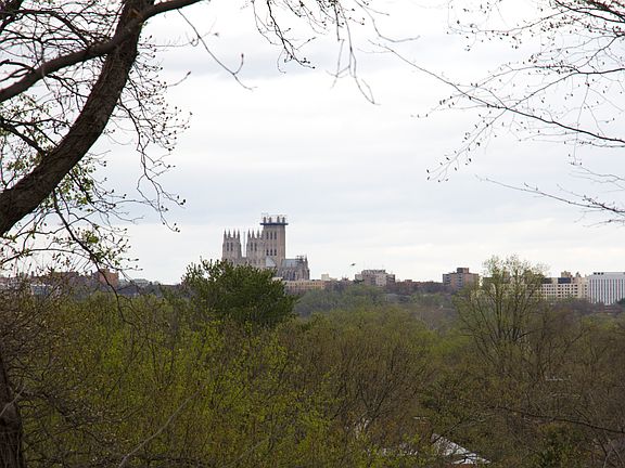 National Cathedral View