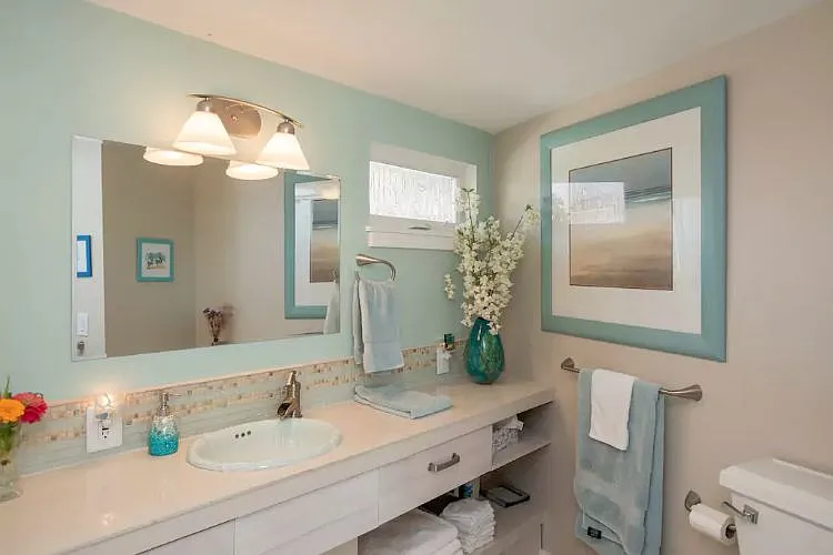 Guest bathroom