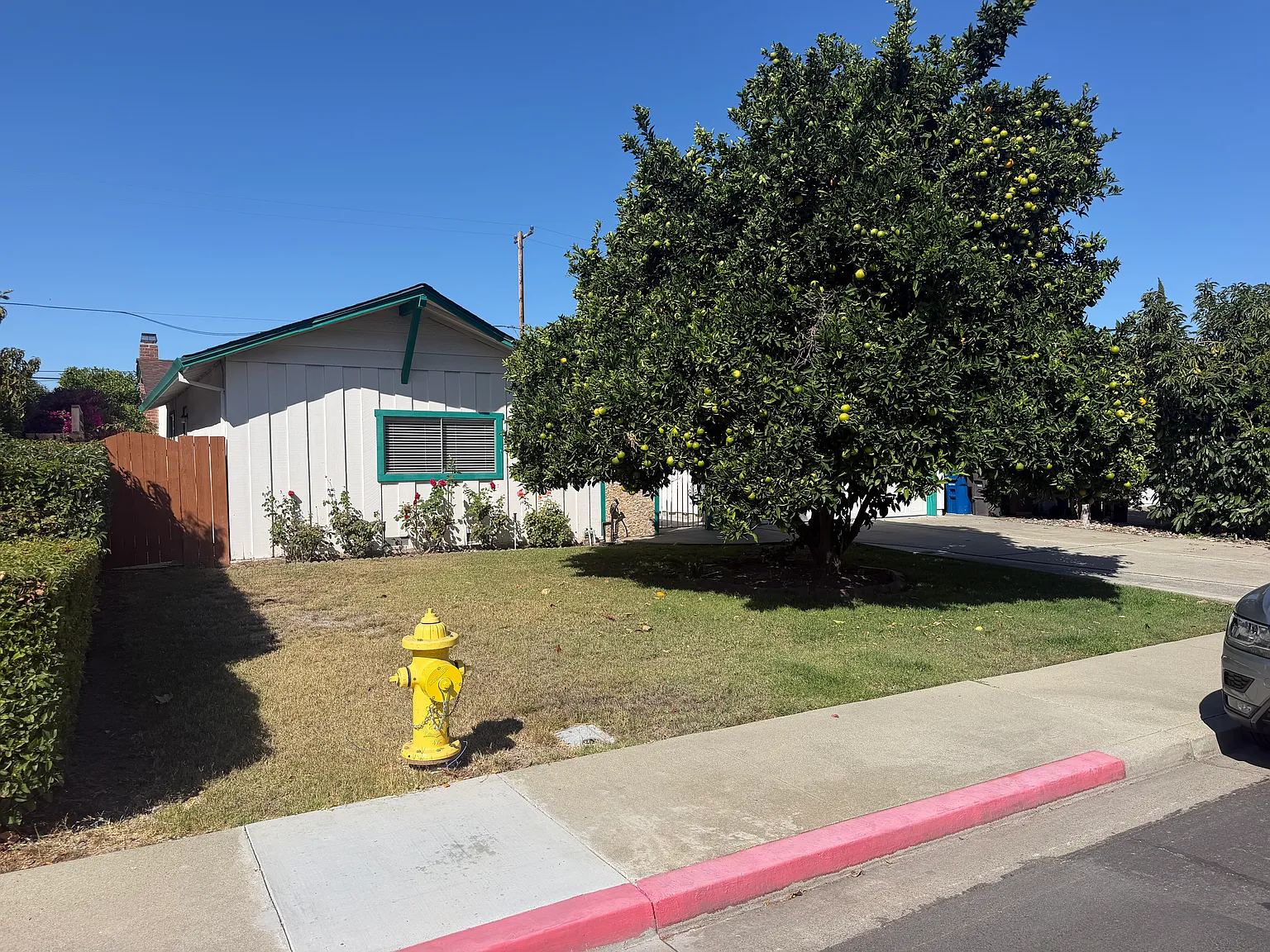 3 bed, 2.5 bath, 1836 sqft, $4,995 — Photo 3