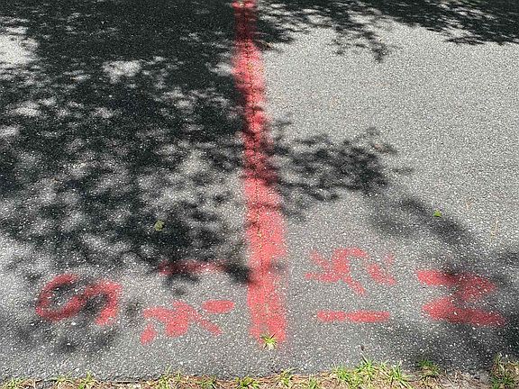 4th image of 34 White Tail Dr