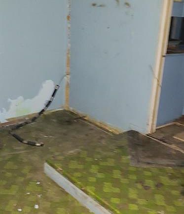 5th image of 118 S Cook Ave