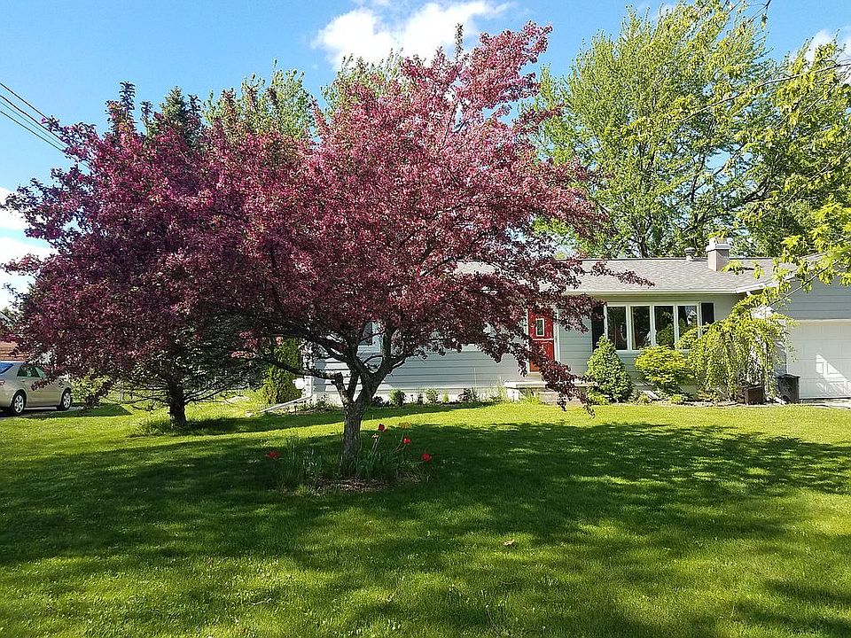 Front yard in spring