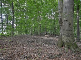 TRACT 1L Payne Ridge Rd, Church Hill, TN 37642