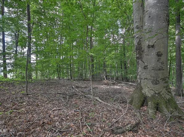 TRACT 1L Payne Ridge Rd, Church Hill, TN 37642