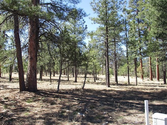 2nd image of 2161 Pine Canyon Dr