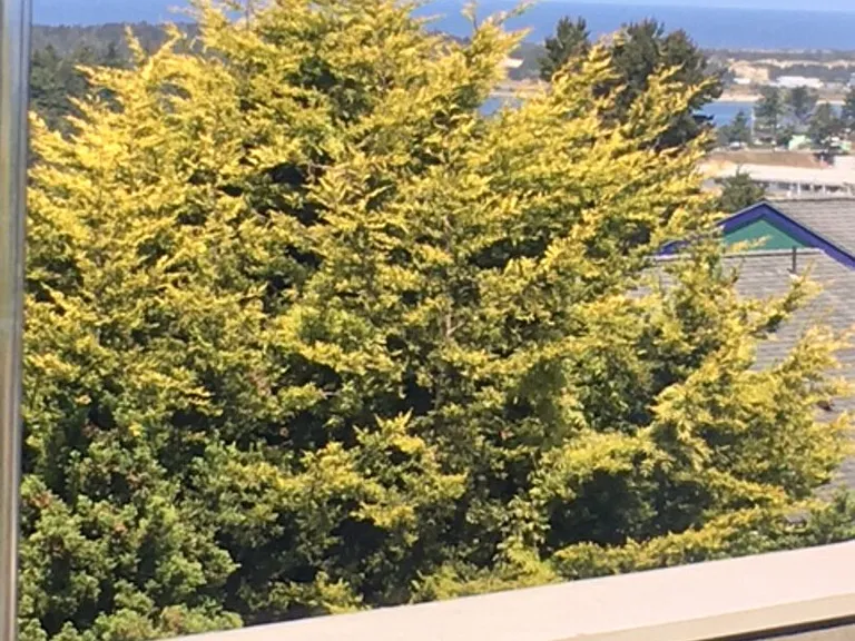Prefontaine Dr — Photo 39